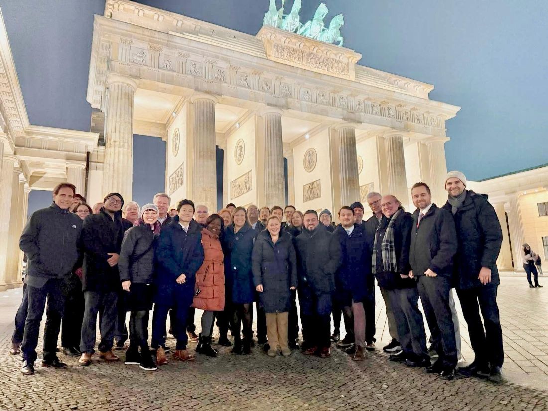 Delegation Group photo at Brandenburger Gate in Berlin by night