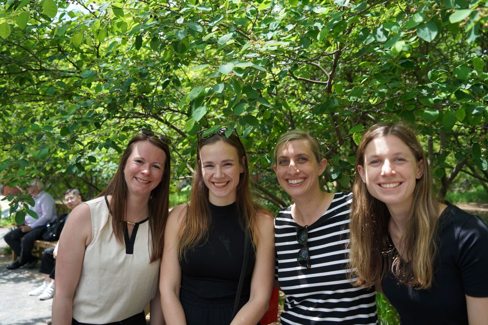 Team Members Management Consulting